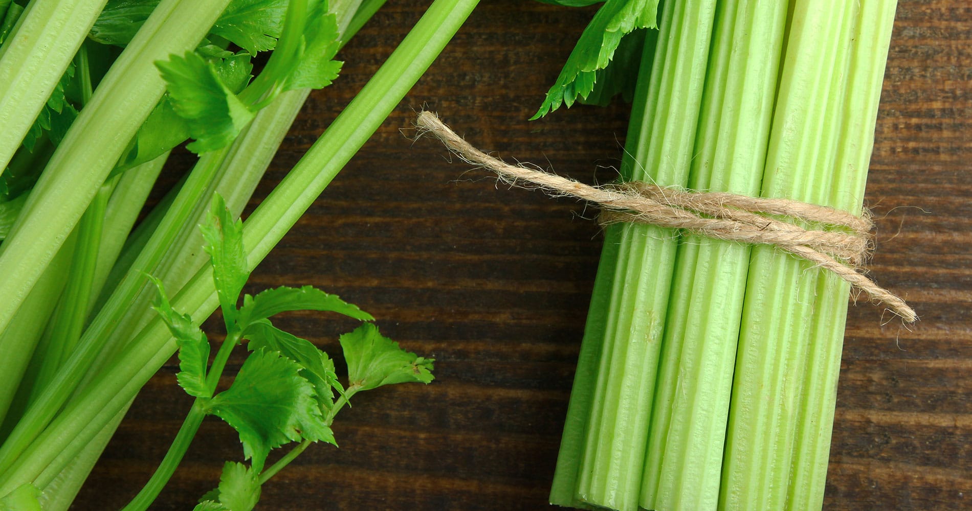 Celery & Cucumbers