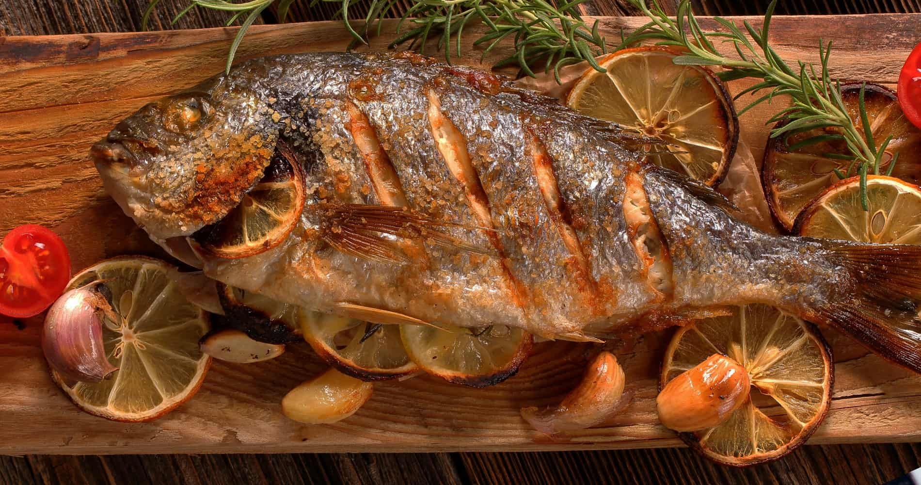Fish