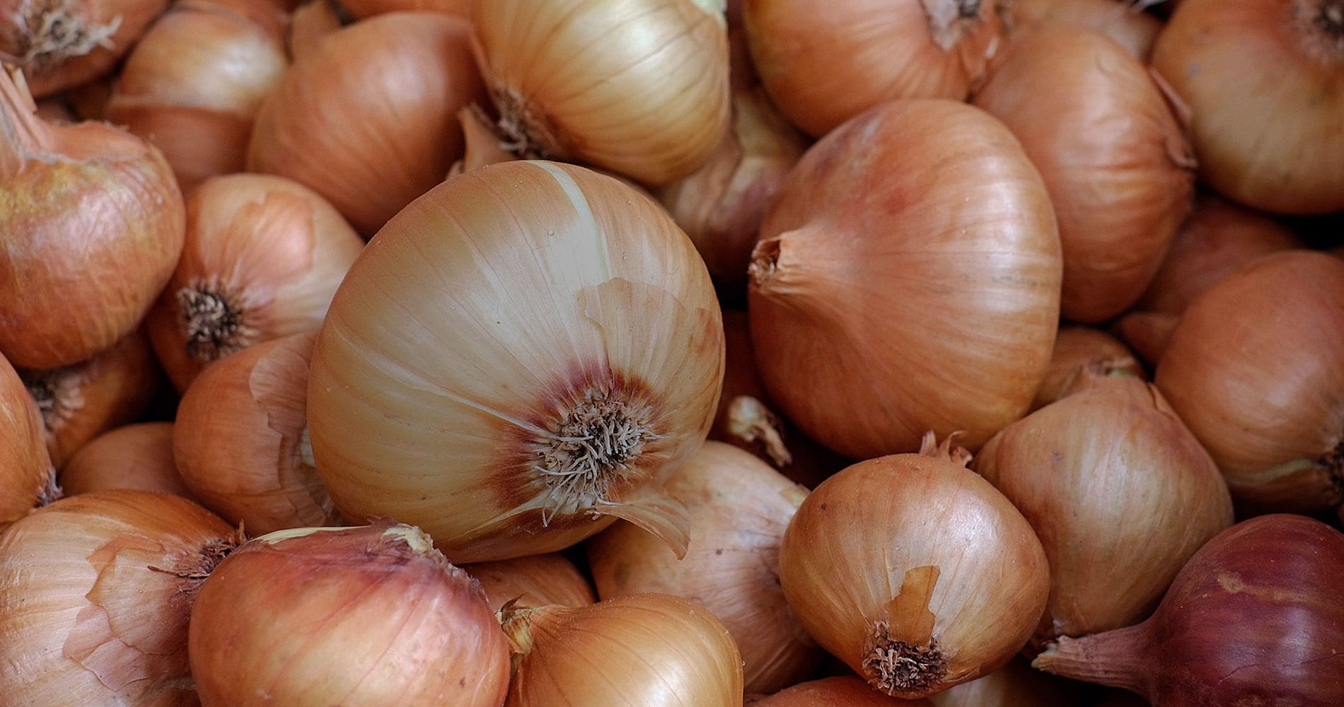 Onions & Garlic