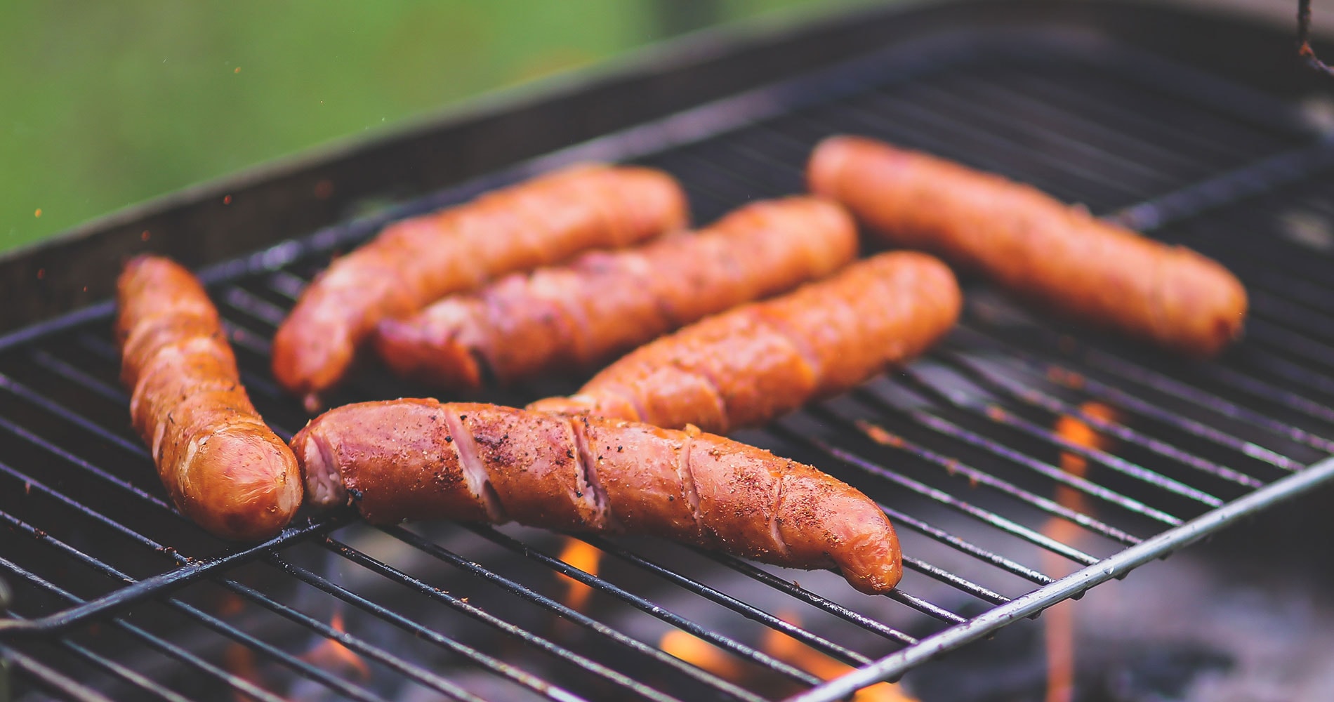 Hot Dogs