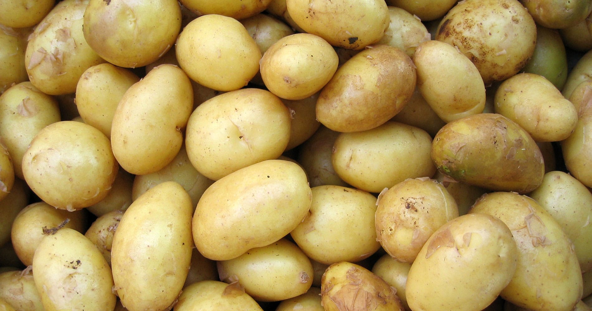Pommes de terre