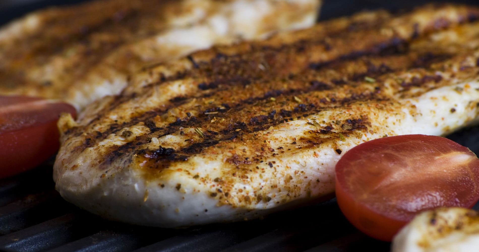 Pollo