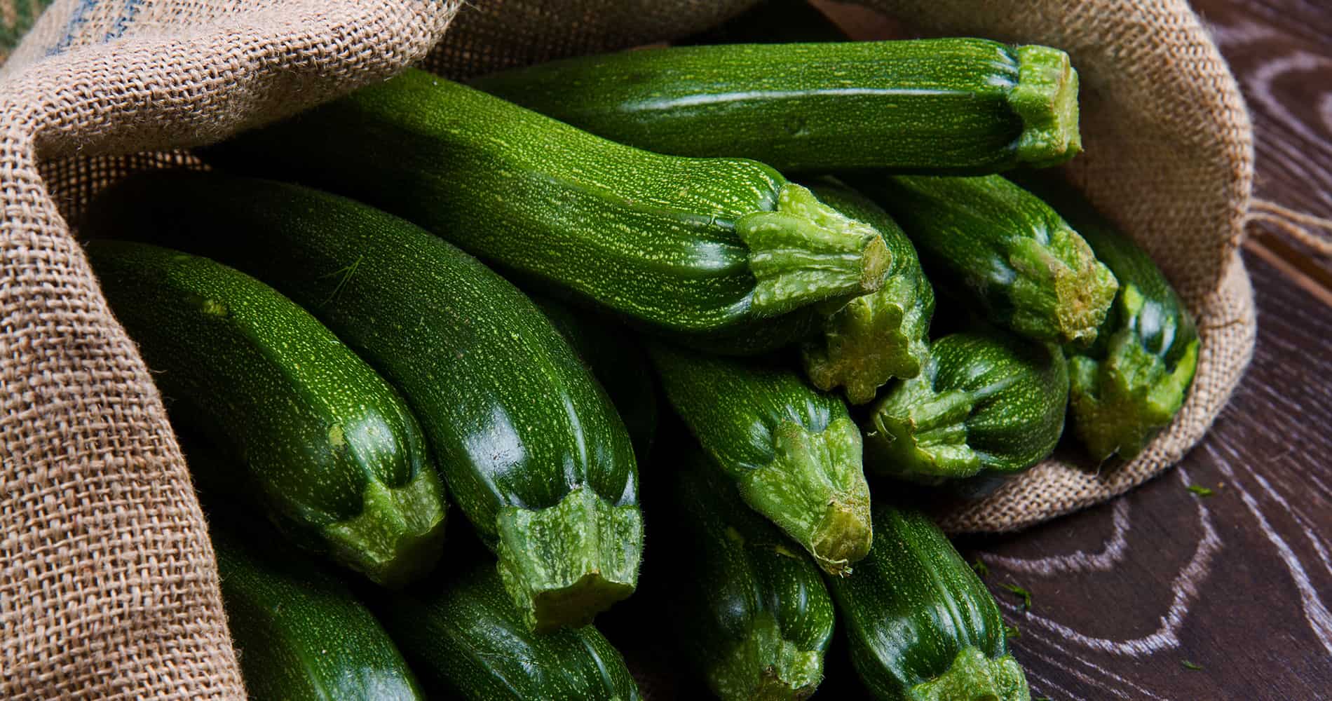 Zucchini