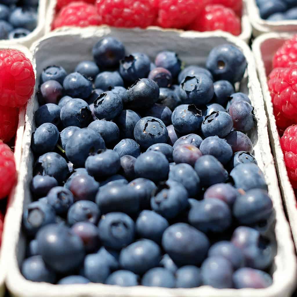 Blueberries