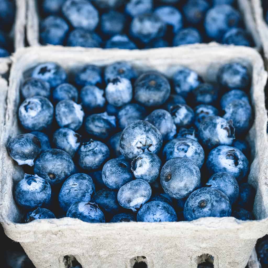 Blueberries