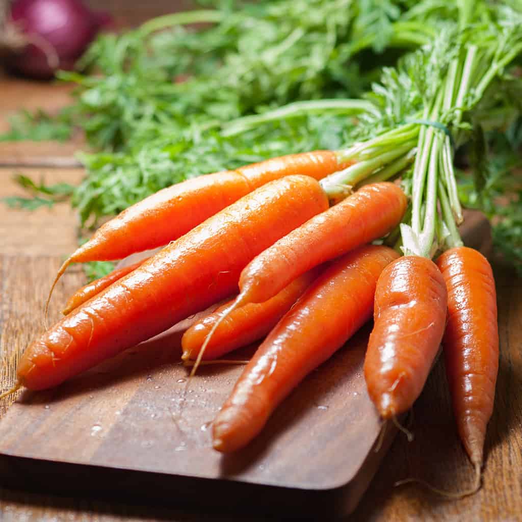 Carottes