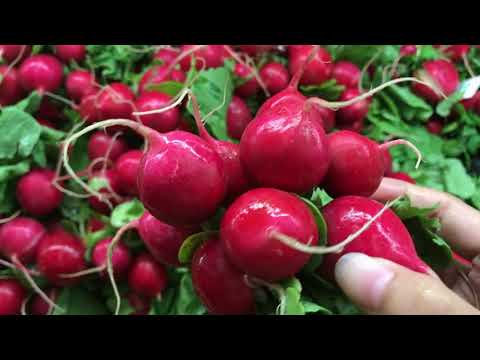 Radishes-2