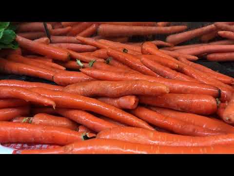 Carottes-2