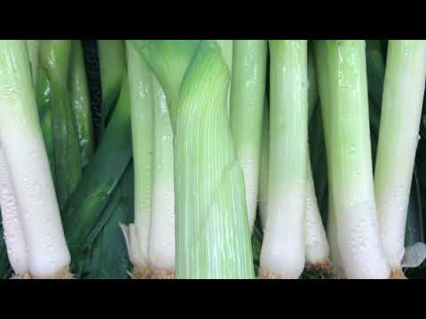 韭菜-2