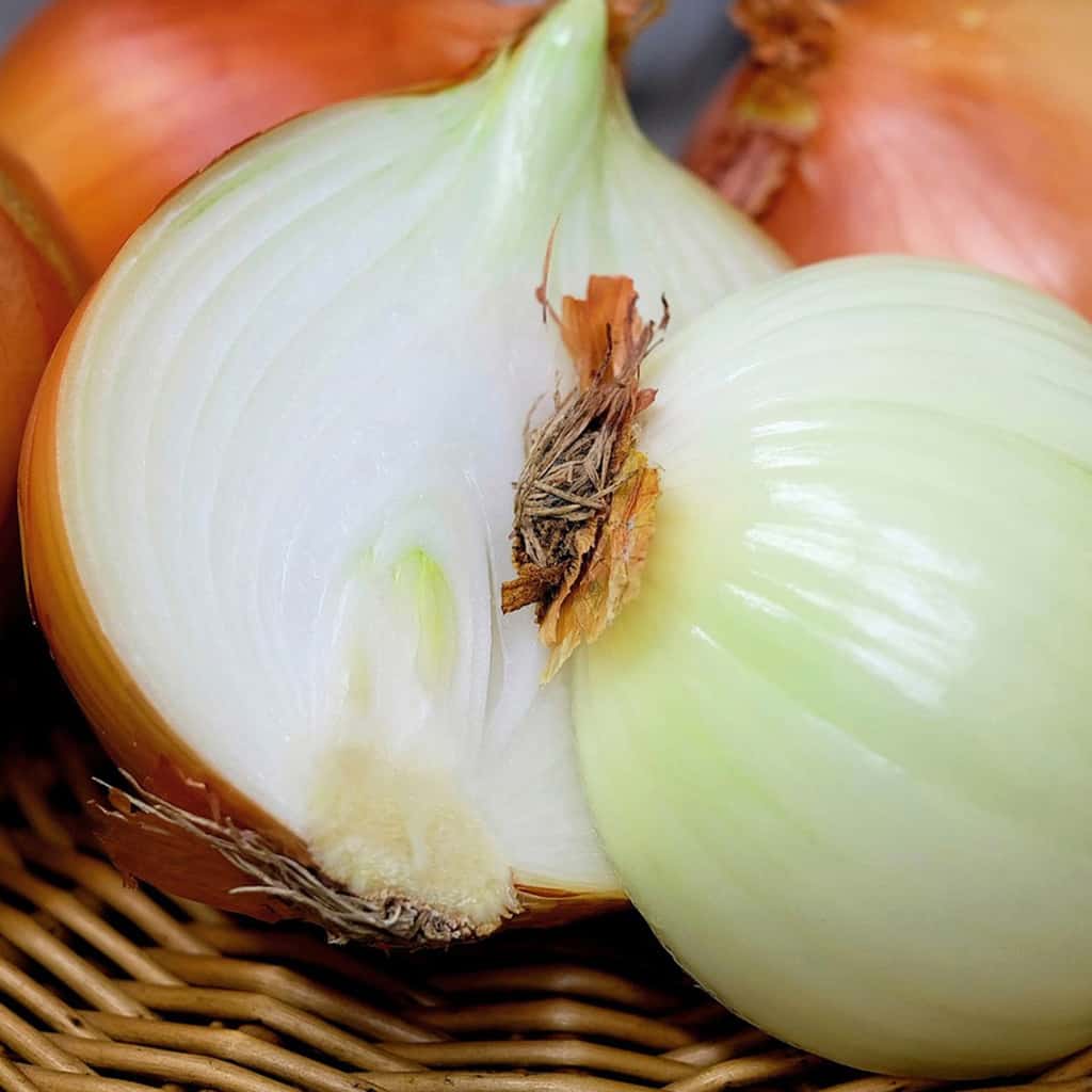 Zwiebeln & Knoblauch