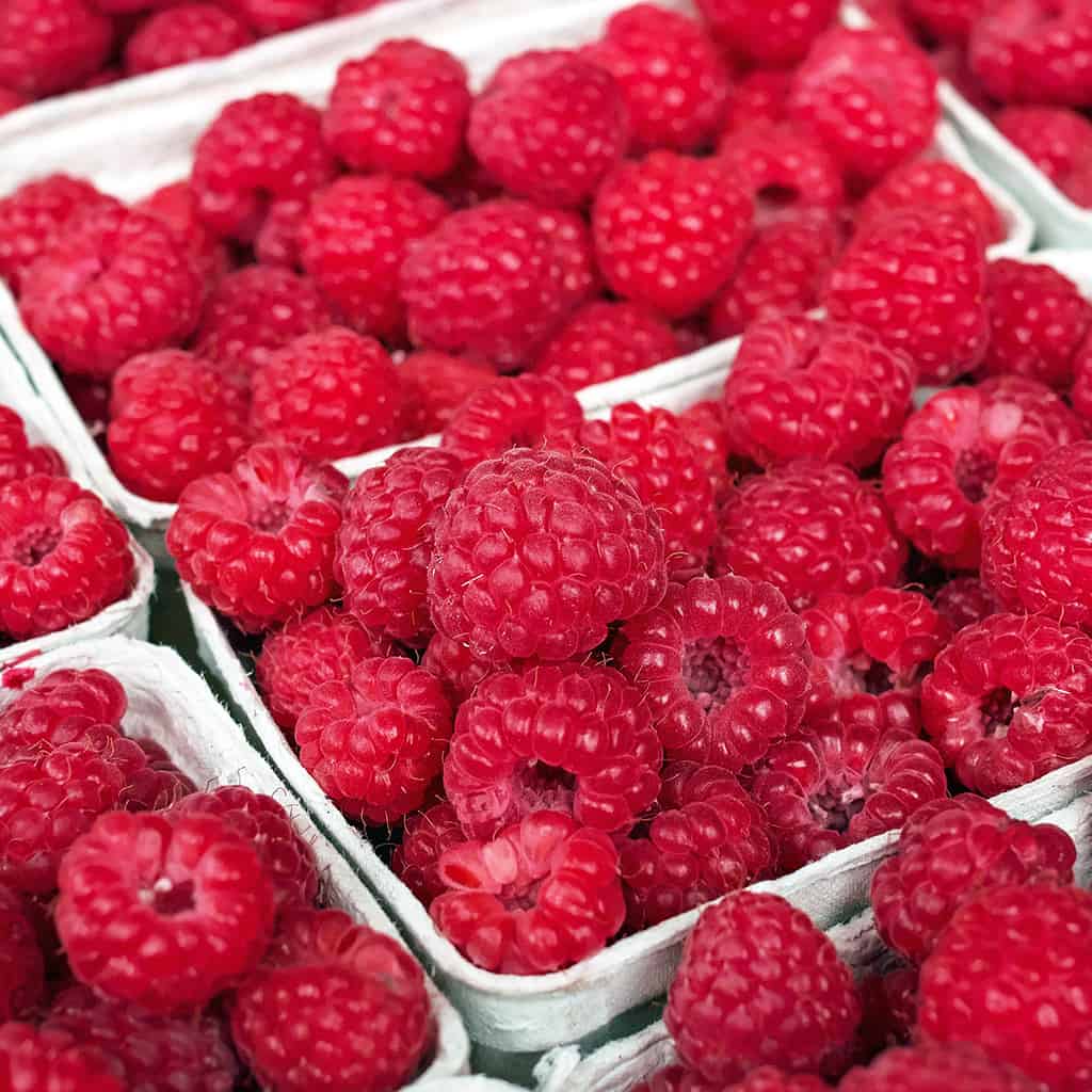 Frambuesas