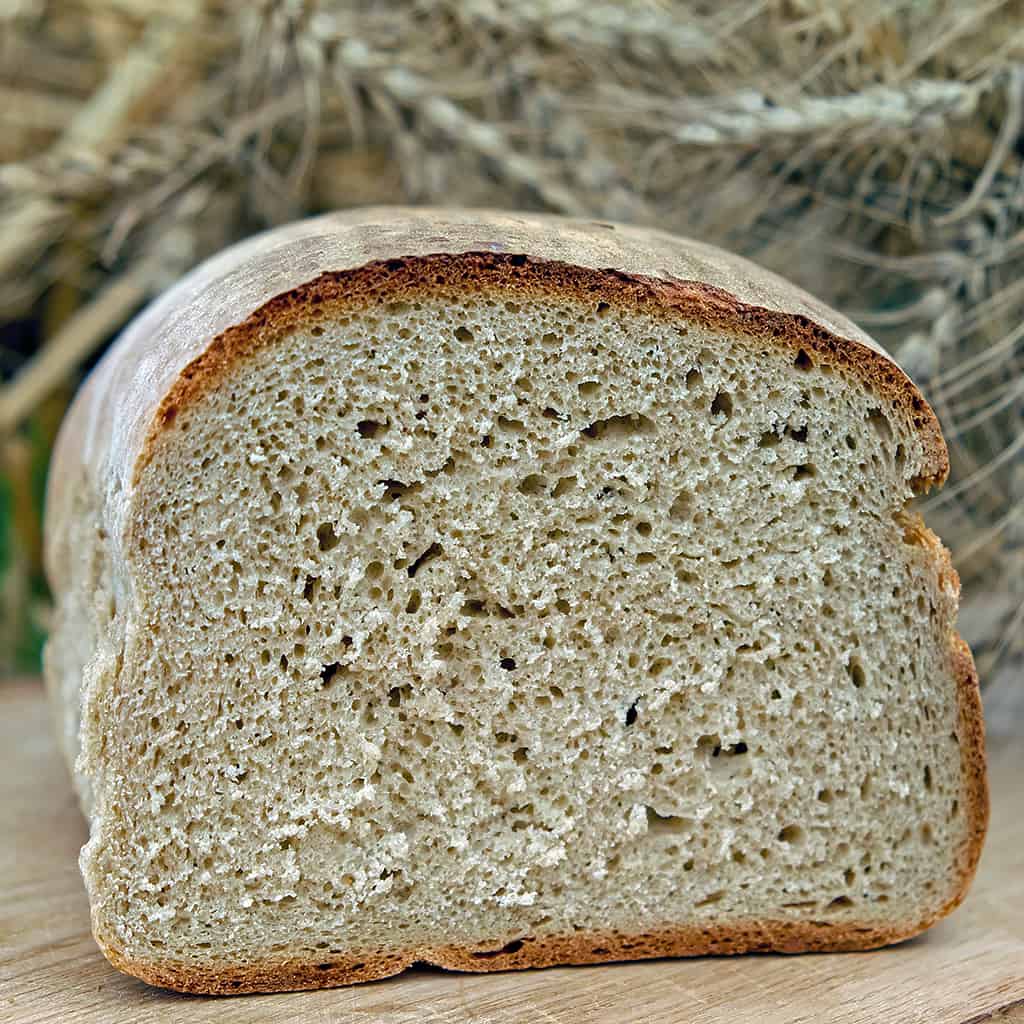 خبز الجاودار