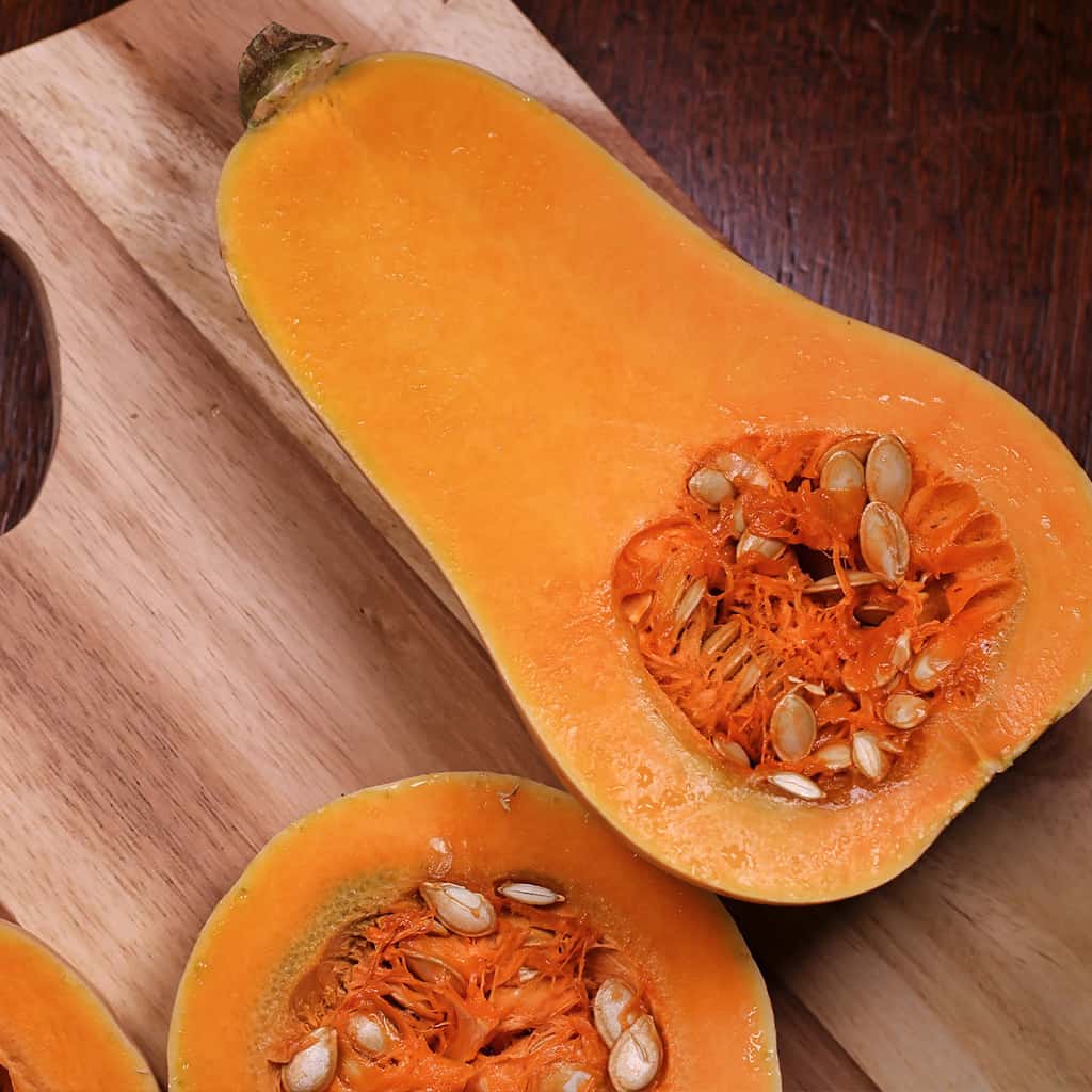 Squash