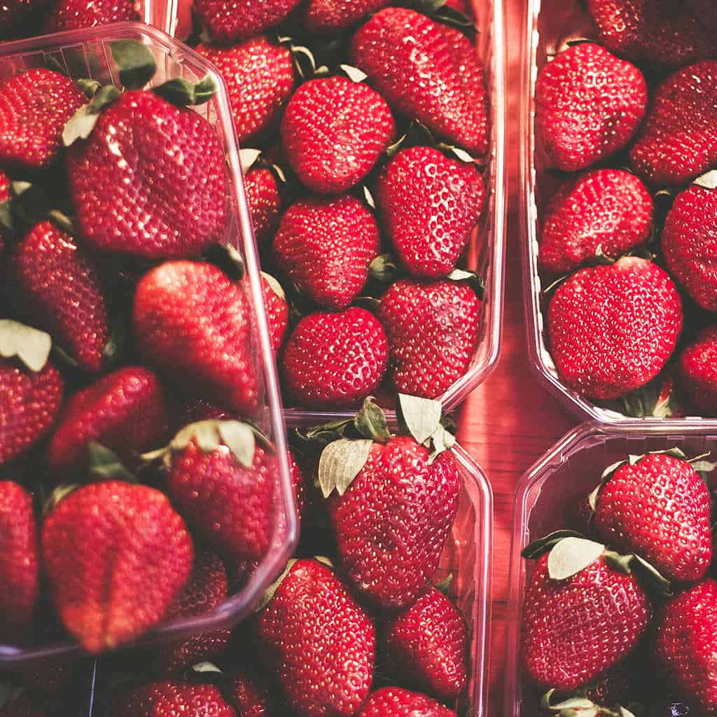 Fresas