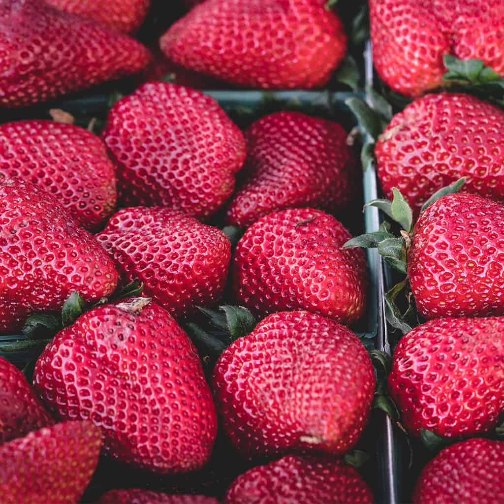 Fresas