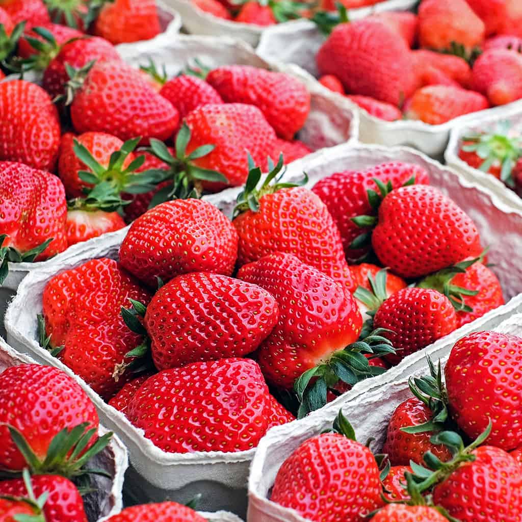 Fresas